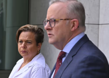 Constitutional law expert calls out Australian government’s “really problematic” misinformation bill